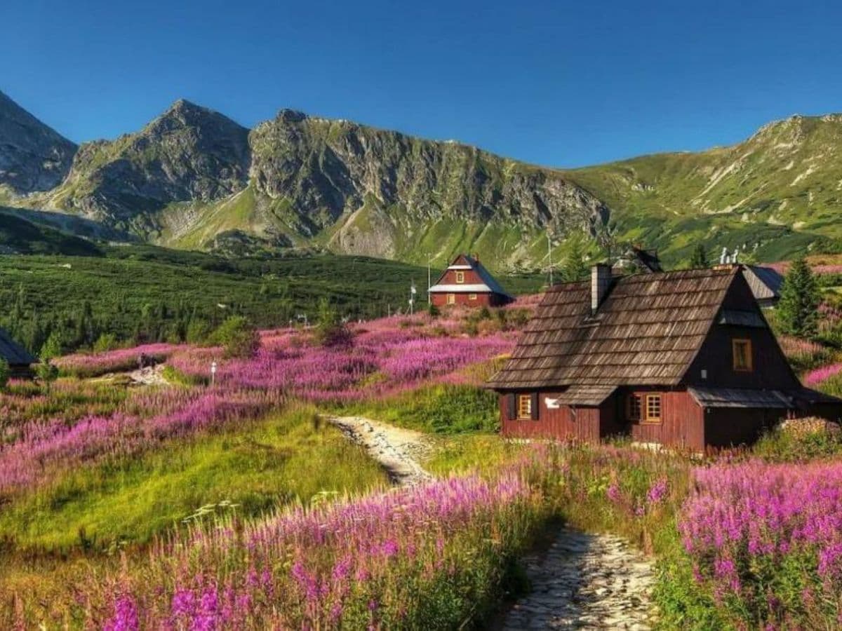 widok na tatry