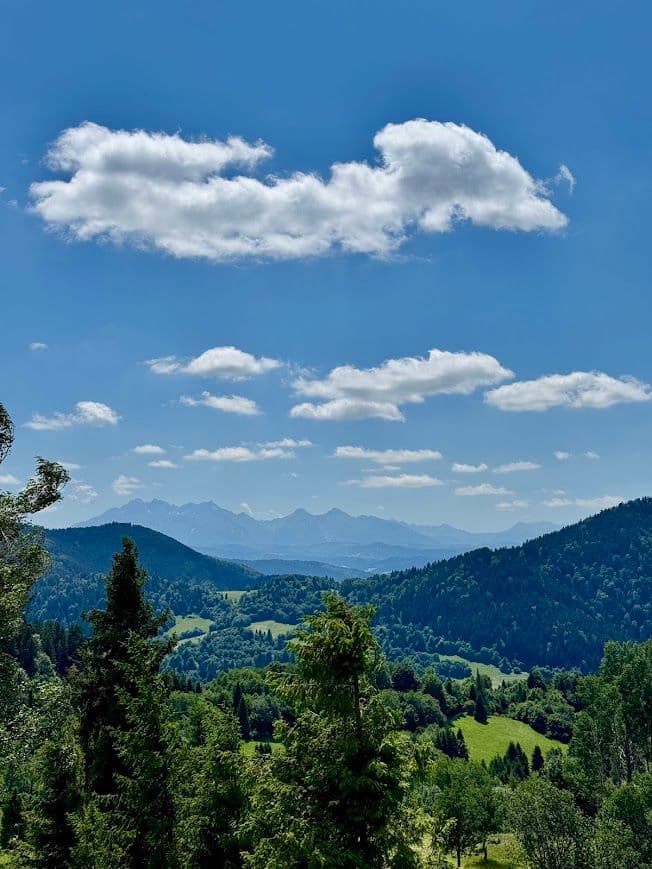 widok na tatry z palenicy
